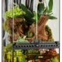 Exo Terra Paludarium 30x30x60 cm: Aqua-Terrarium mit Wasserteil, Pflanzen und Fischen.