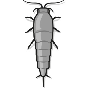 Illustration eines Silberfischchens. Nexa Lotte Falle gegen Ungeziefer.
