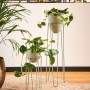 Graue Glasvase (Höhe 22,25 cm) mit Pflanzen auf Pflanzenständer im Wohnraum.