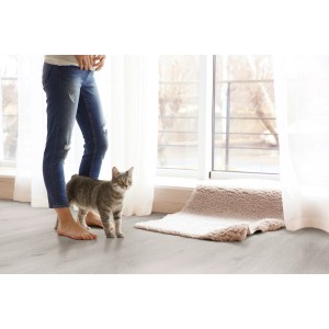 Heller Click-Vinylboden in Eichenoptik mit Katze und Person im Raum.