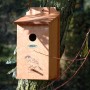 Dobar Nistkasten aus Kiefernholz mit Siebdruckmotiv Haussperling, befestigt an einem Baum.