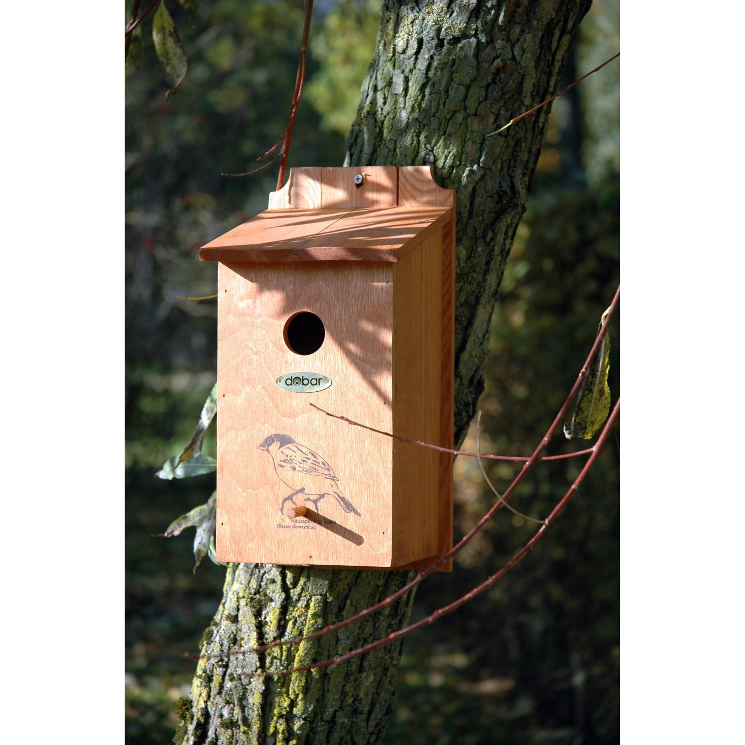 Dobar Nistkasten aus Kiefernholz mit Siebdruckmotiv Haussperling, befestigt an einem Baum.