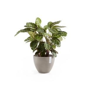 Ecopots Pflanztopf Antwerp Braungrau 30 cm