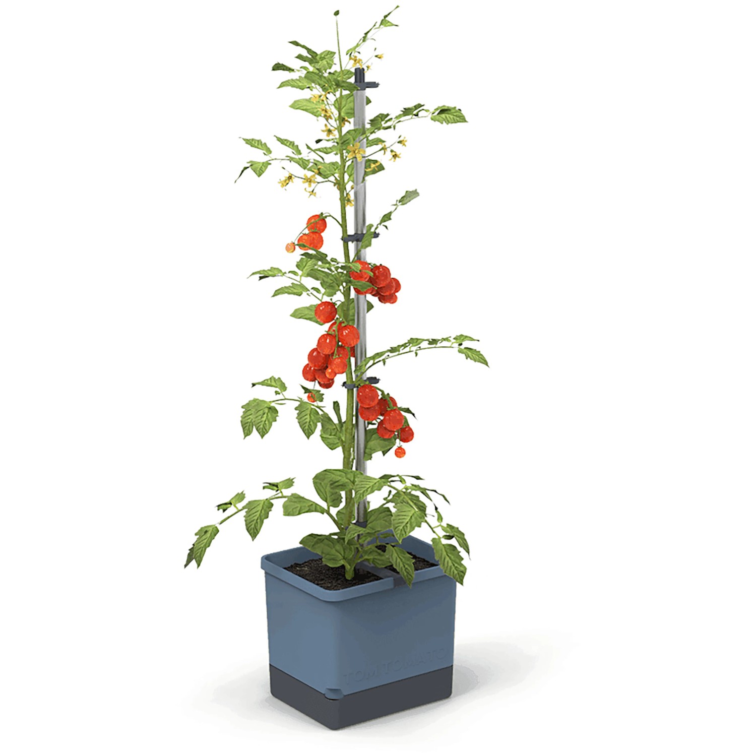 Gusta Garden Anzuchtgefäß Tom Tomato 20 L blau kaufen bei OBI