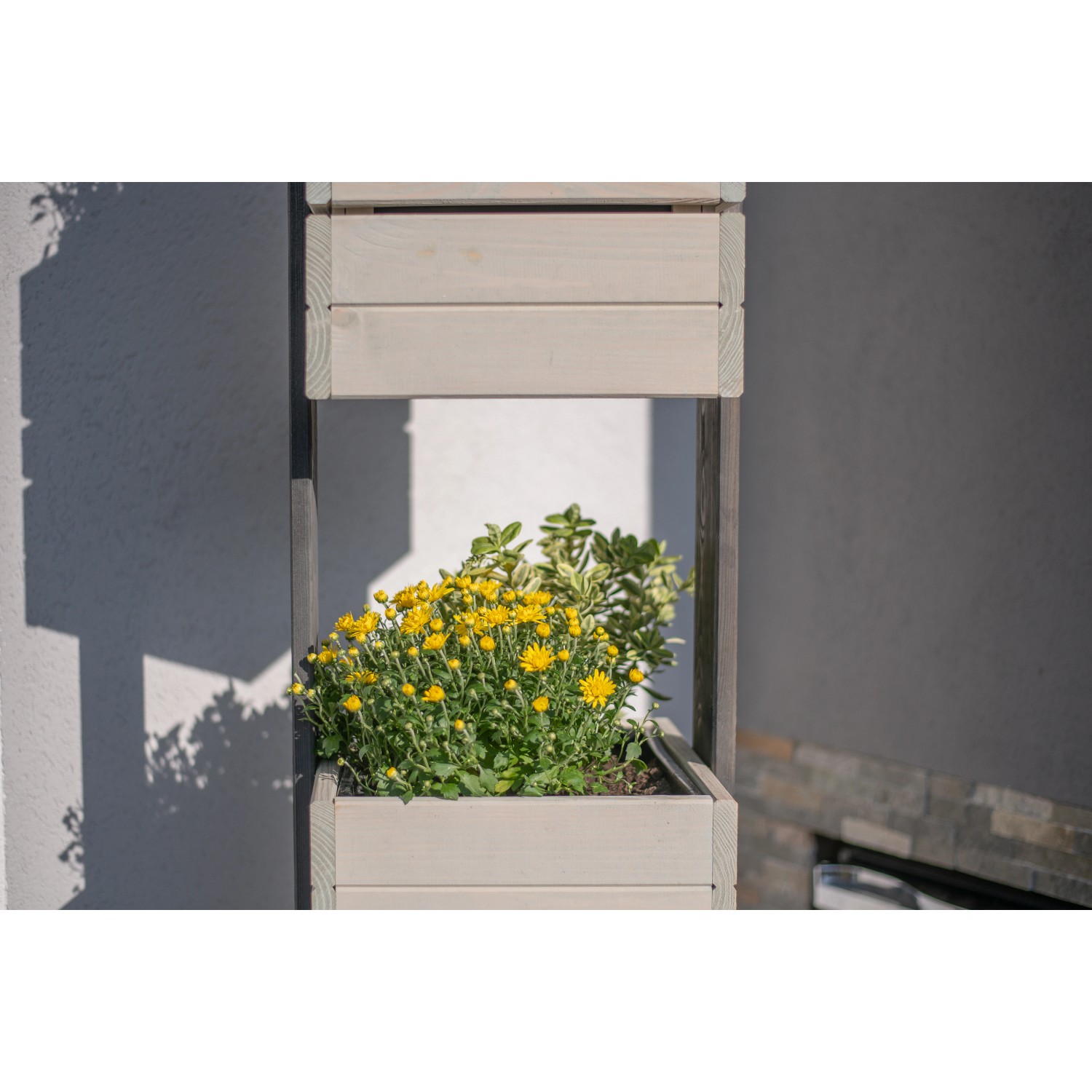 Westmann Pflanzkübel Holz Maja 50 cm x 170 cm x 50 cm Grau FSC® kaufen