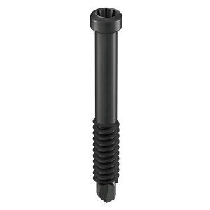 Schwarze GS Terrassen Bohrschraube 4,8x38 mm für Dielenclips, 100 Stück.
