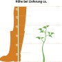 Illustration: Kirschlorbeer Novita, ca. 80-100cm hoch bei Lieferung. Größenvergleich.