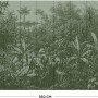 LOOKS Fototapete Rainforest Grün: Vliestapete mit detailreichem Regenwald-Motiv, 2,7x3,5m.
