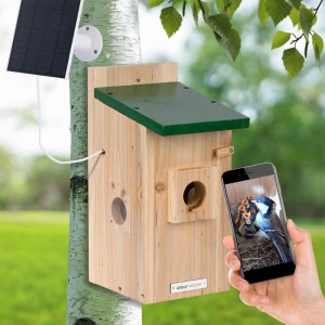 Dobar Nistkasten Eazy aus Holz mit grünem Dach, Solarpanel und WiFi-Kamera, zeigt Vogelküken auf Smartphone.