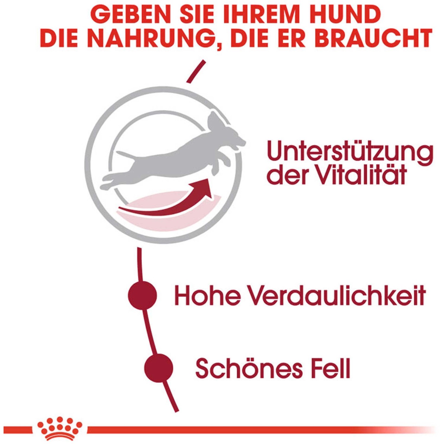 Royal Canin Medium Adult 7+ Hundetrockenfutter: Vitalität, Verdaulichkeit, schönes Fell.