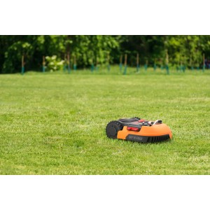 Worx Landroid M500 Plus Mähroboter mit Anti-Kollisionssystem auf Rasen.