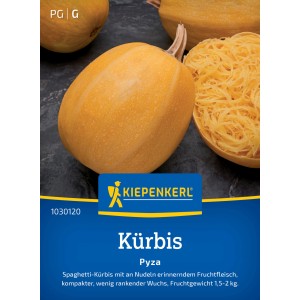 Kiepenkerl Kürbis Pyza: Gelber Spaghetti-Kürbis, ideal zum Kochen. Gemüsesamen für den Garten.