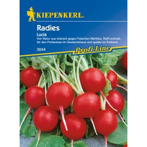 Kiepenkerl Radieschen 'Lucia', rote, runde Radieschen mit grünen Blättern, Gemüsesamen.
