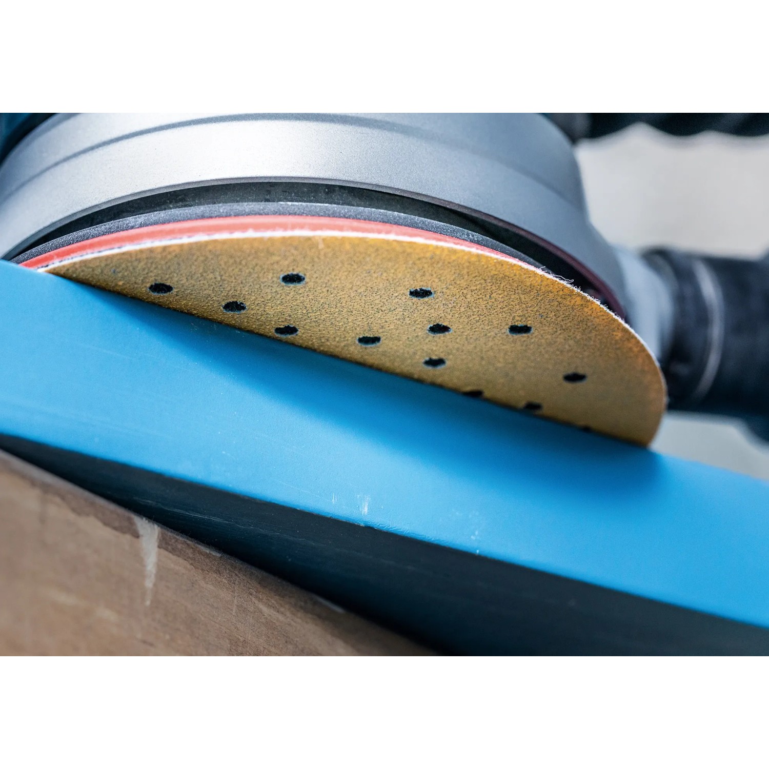 Bosch Expert Schleifblatt C470 K60, Ø 125mm, im Einsatz auf blauem Holz.