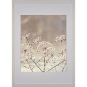 Weißer Holzbilderrahmen 50x70 cm mit breitem Profil und Glasabdeckung, zeigt Winterpflanzen.