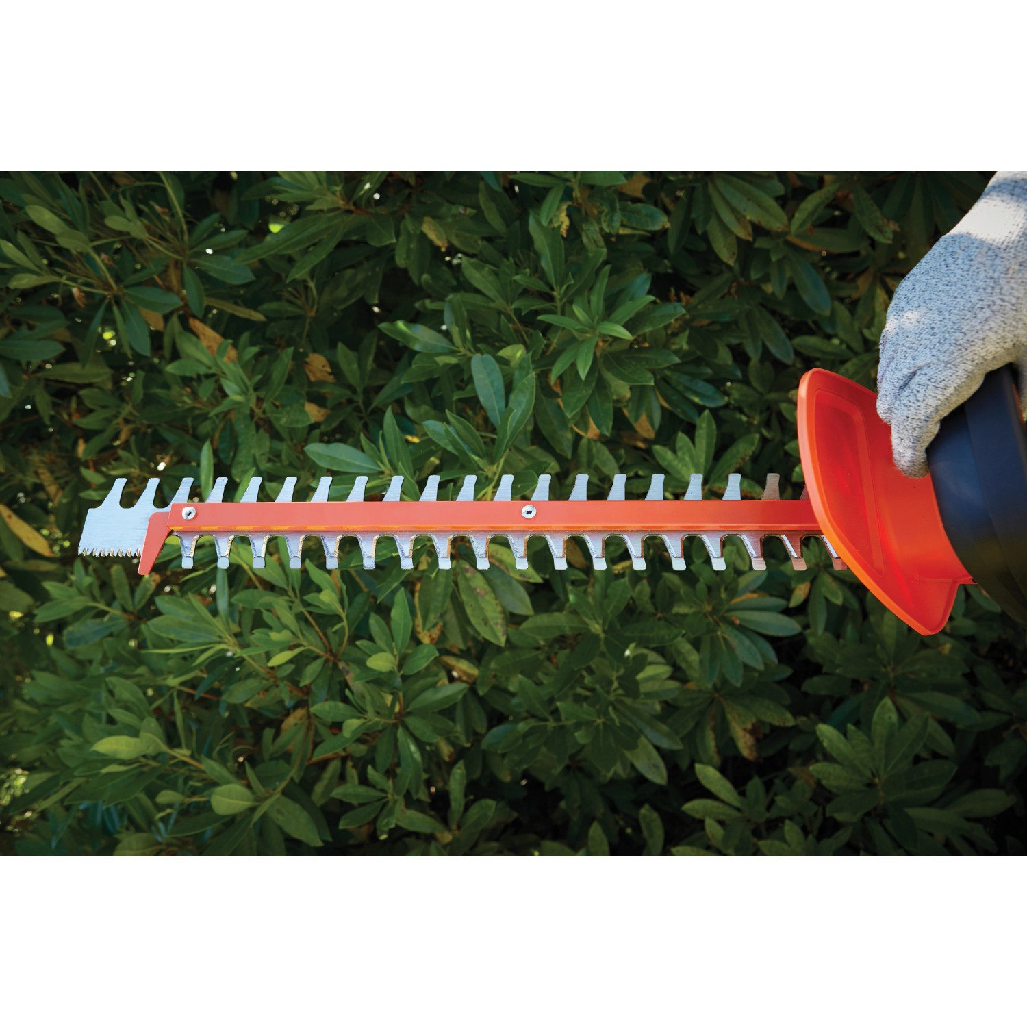 Black+Decker AkkuHeckenschere GTC5455PCB Basis 54 V 60 cm