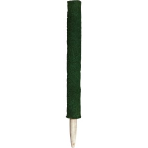 Grüner Peacock Kokosstab, 60 cm, als Rankhilfe für Pflanzen.