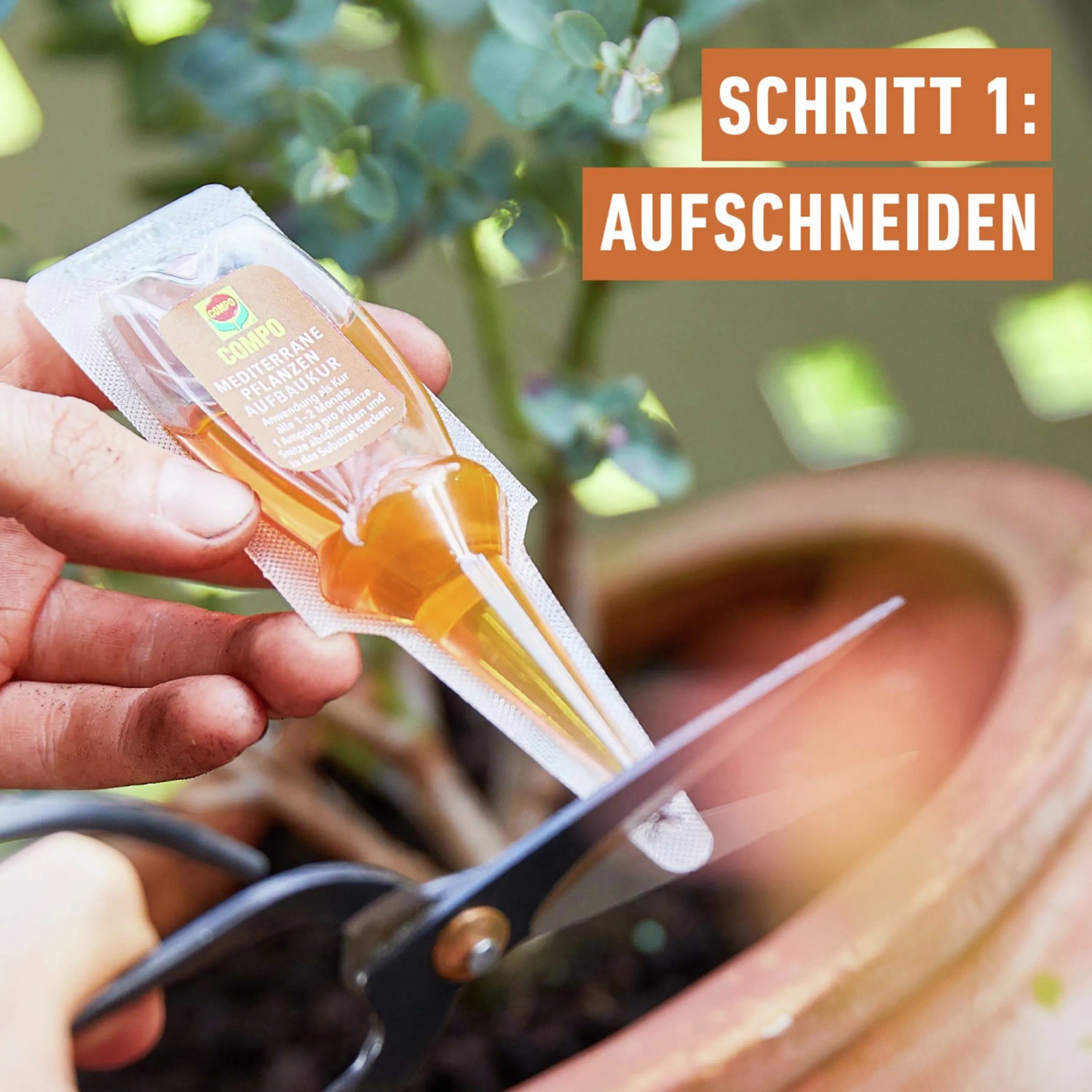 Compo Mediterrane Pflanzen Aufbaukur 30 ml kaufen bei OBI