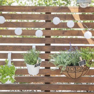 Wandampel Scroll mit Kokoseinsatz, bepflanzt mit Kräutern, an Holzwand mit Lichterkette.