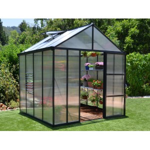 Palram Canopia Glory Gewächshaus, 2.4x2.5 m, Anthrazit, mit Regalen und Pflanzen.