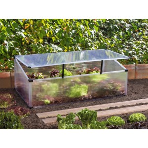 Pergart Feronia Alu Frühbeet (104x56x36cm) mit geöffnetem Deckel im Garten.