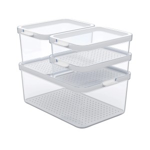 Rotho Cauma Kühlschrankorganizer-Set, 4 transparente Behälter mit Deckel, Küchen-Ordnungssystem.