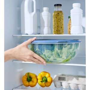 Rotho Kühlschrankdose Rondo, 6 l, horizontblau im Kühlschrank mit Salat.