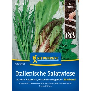 Kiepenkerl Salat Italienische Salatwiese Saatband mit Zichorie, Radicchio und Hirschhornwegerich.