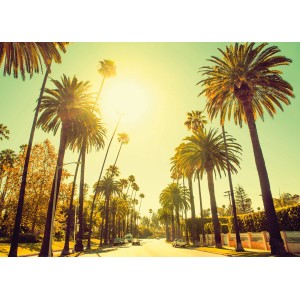Komar Wandbild Palm Alley, 70x50 cm, zeigt Palmenallee an sonnigem Tag.