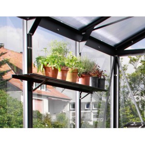 Schwarzes Alu-Wandregal (122x15cm) im Gewächshaus mit Pflanzen in Töpfen.