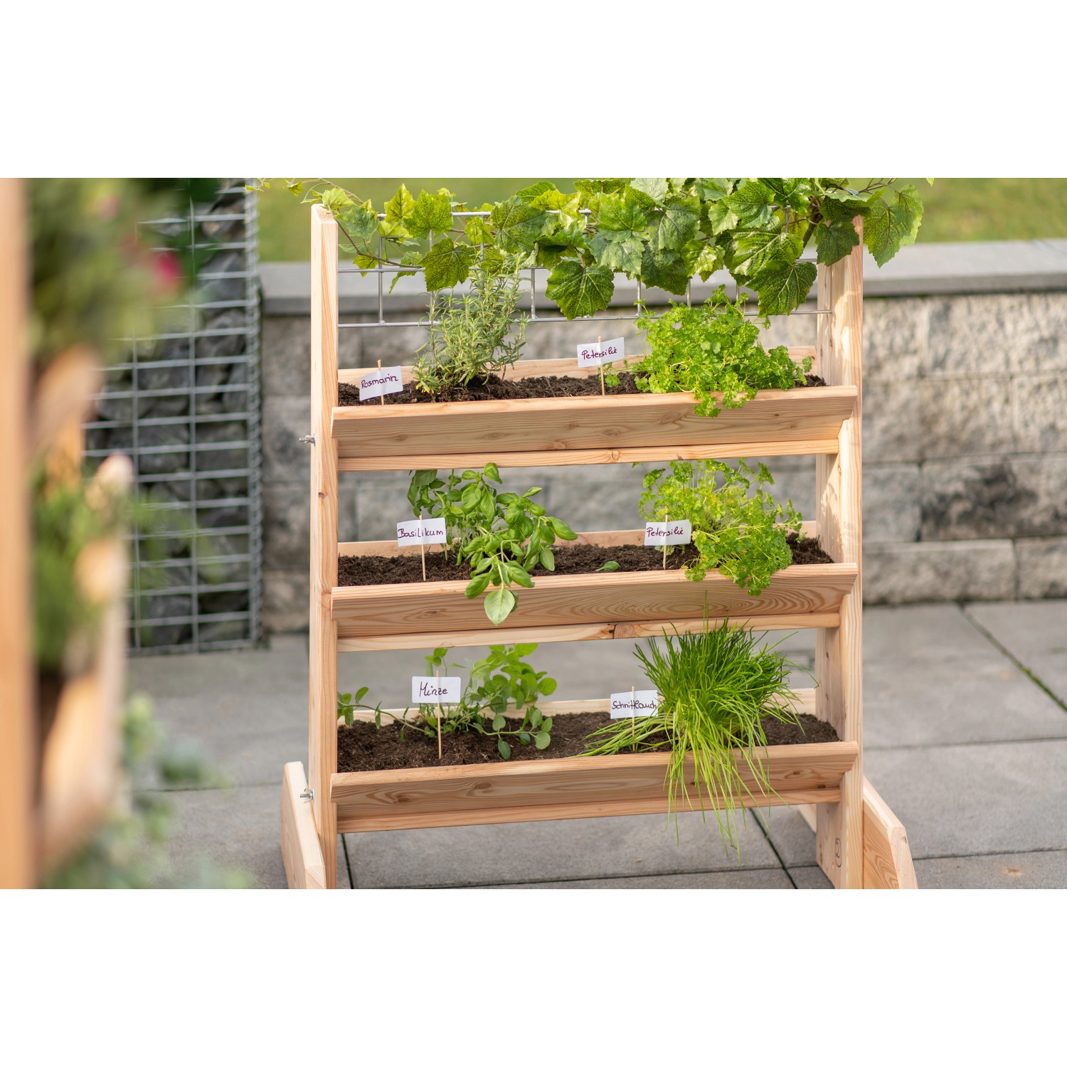 Westmann Kräuterregal Premium Größe L mit Rankgitter, bepflanzt mit Kräutern.