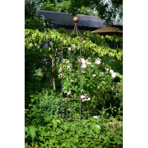 Kleiner, unbeschichteter Eleo Obelisk Catania als Rankhilfe im Garten.