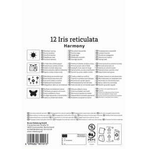 Kiepenkerl Netzblatt-Schwertlilie 'Harmony', 12 Stück, Blumenzwiebeln für den Frühling.