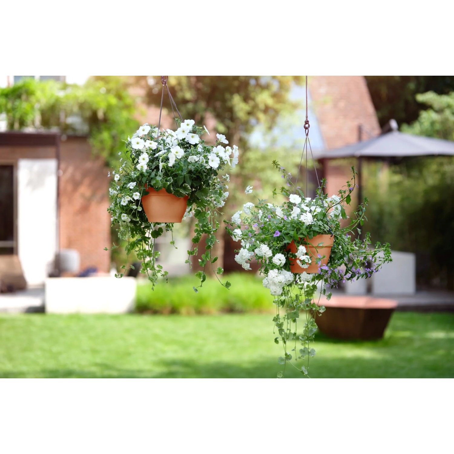Premium Makramee Blumenampel Blumentopf Garten Balkon BOHO Hängeampel Wandbehang Premium Makramee Blumenampel Blumentopf Garten Balkon BOHO Hängeampel Wandbehang