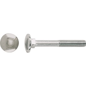 Schlossschrauben M6 x 60 mm Edelstahl A2