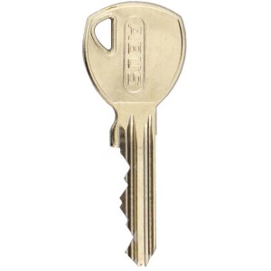 Schlüssel für Abus Profilzylinder Titalium, silberfarben.