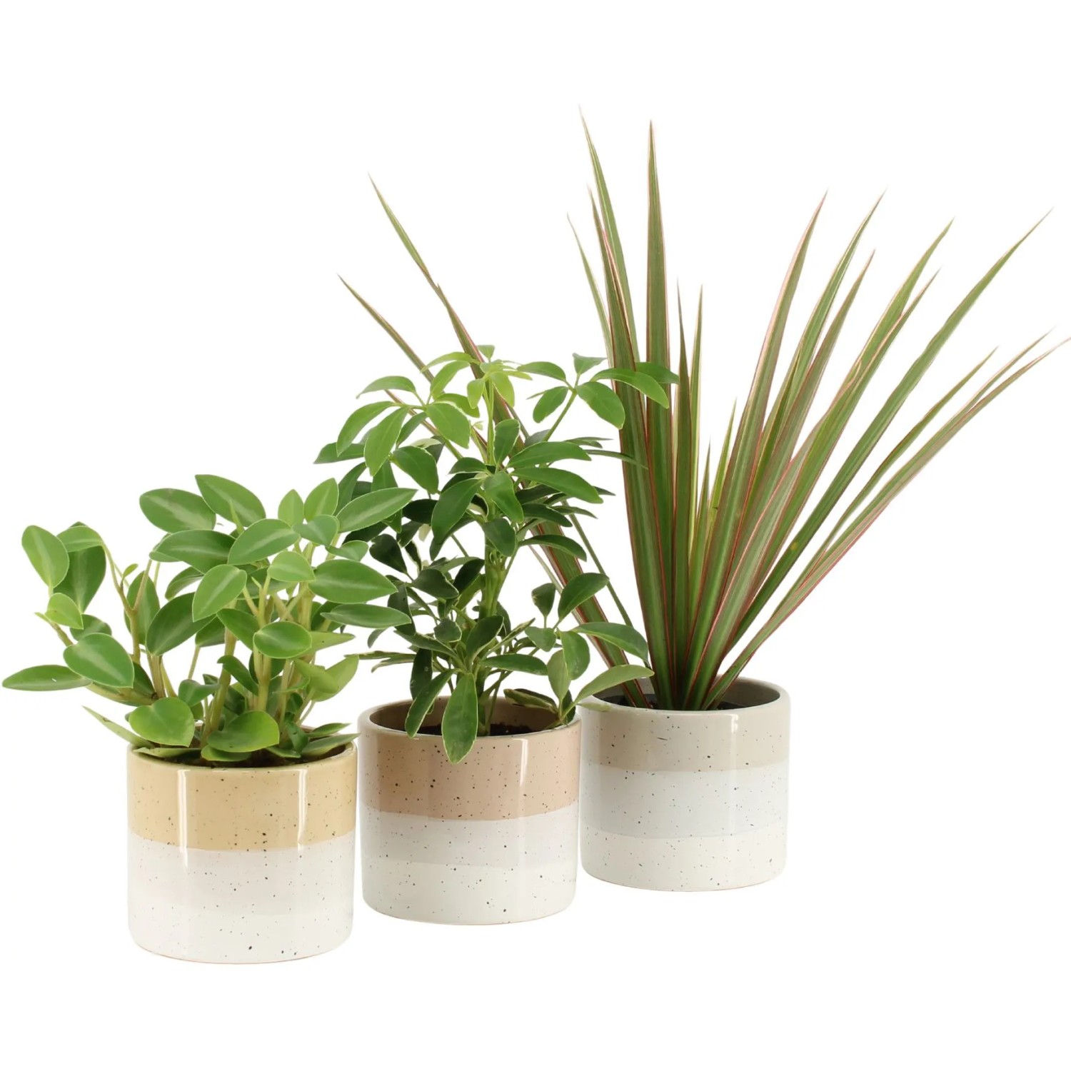 kaktus vasen Cactus vase M green Urban jungle – SERAX main image 0