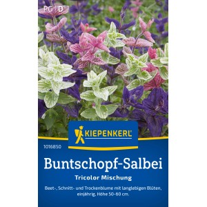 Kiepenkerl Buntschopf-Salbei Tricolor Mischung mit rosa, lila und weißen Blüten.