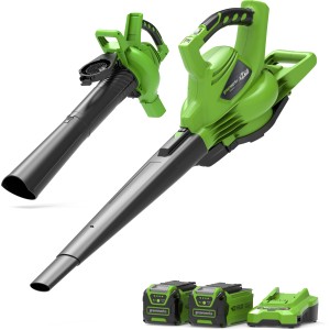 Greenworks Akku-Laubbläser-Set GD40BVK25X 40V mit Akkus und Ladegerät.