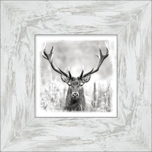 Bild mit Rahmen: Grauer Hirschkopf im Landhausstil, 34x34 cm. Wanddeko für Wohnräume.