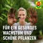 Compo Sana Qualitäts-Blumenerde 1 x 20 l_5