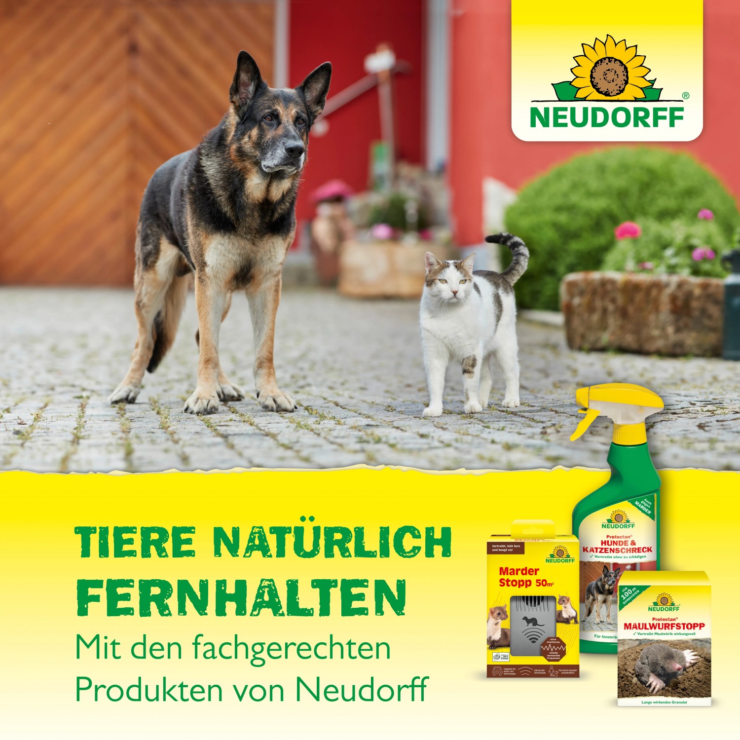 Neudorff Hunde- und Katzen-Schreck AF 500 ml kaufen bei OBI