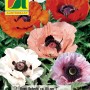 Austrosaat Gartenmohn Supreme Mischung, verschiedene Farben.