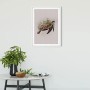 Komar Wandbild Animals Turtle, 50x70 cm. Tier-Motiv für Wohnraum.