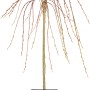 Hängende Kätzchenweide Pendula Gelb im Topf, ca. 50-60 cm hoch. Zierstrauch mit hängenden Ästen.
