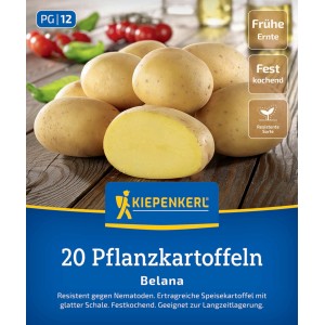 Kiepenkerl Pflanzkartoffel Belana, 20 Stück, festkochend und gelbfleischig.