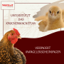 Braunes Huhn und gelbes Küken. Supravit Kalkgrit Ergänzungsfutter für Hühner unterstützt Knochenwachstum und Eierschalen.
