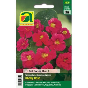 Austrosaat Kapuzinerkresse Cherry Rose: Blumensamen mit roten Blüten.