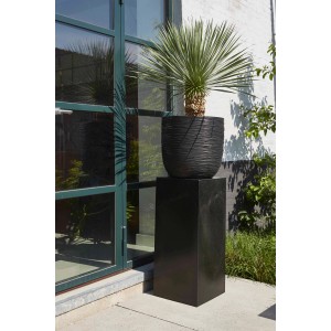 Schwarzer Capi Pflanztopf Nature Rib Kugel (Ø 35cm) mit Riffelstruktur auf einer Säule, bepflanzt mit einer Grünpflanze.