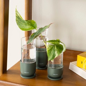 Fiskars Anzuchtglas-Set, 3 grüne Glasgefäße mit Stecklingen auf einem Tisch.